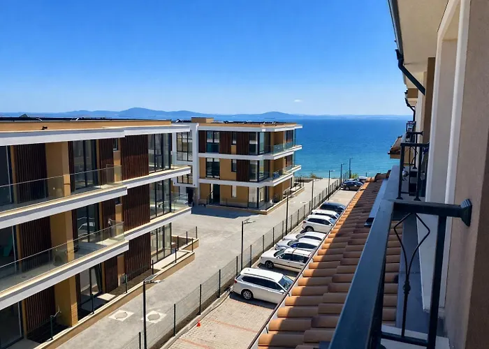 Camellia 부르가스